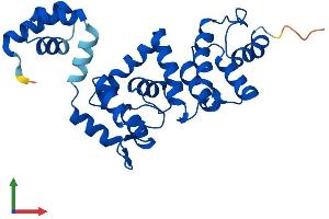 Protein Structure (PS) image for DCN1, Defective in Cullin Neddylation 1, Domain Containing 2 (DCUN1D2) (AA 1-259) protein (His tag) (ABIN7546966)