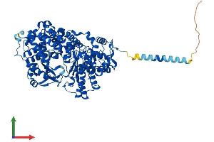 Protein Structure (PS) image for Phosphate Regulating Endopeptidase Homolog, X-Linked (PHEX) (AA 1-749) protein (His tag) (ABIN7550771)