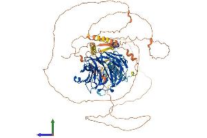Protein Structure (PS) image for DDB1 and CUL4 Associated Factor 6 (DCAF6) (AA 1-860) protein (His tag) (ABIN7553622)