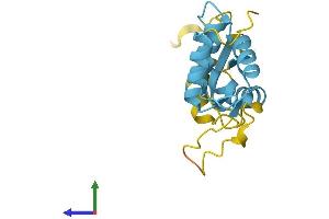 Protein Structure (PS) image for Ribosomal Protein L12 (RPL12) (AA 1-165) protein (His tag) (ABIN7551402)