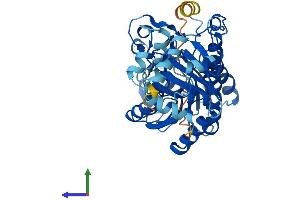 Protein Structure (PS) image for Hydroxysteroid Dehydrogenase Like 2 (HSDL2) (AA 1-418) protein (His tag) (ABIN7548371)