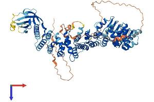 CMIP Protein (AA 1-773) (His tag)