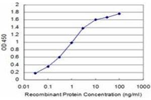 Detection limit for recombinant GST tagged TAOK3 is approximately 0. (TAO Kinase 3 Antikörper  (AA 809-898))