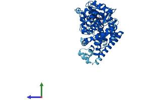 Protein Structure (PS) image for Cytochrome P450, Family 4, Subfamily F, Polypeptide 3 (CYP4F3) (AA 1-524) protein (His tag) (ABIN7560429)