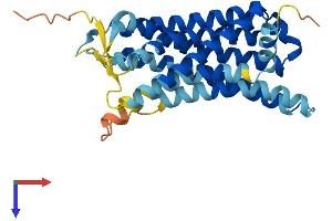 OR2S2 Protein (AA 1-319) (His tag)