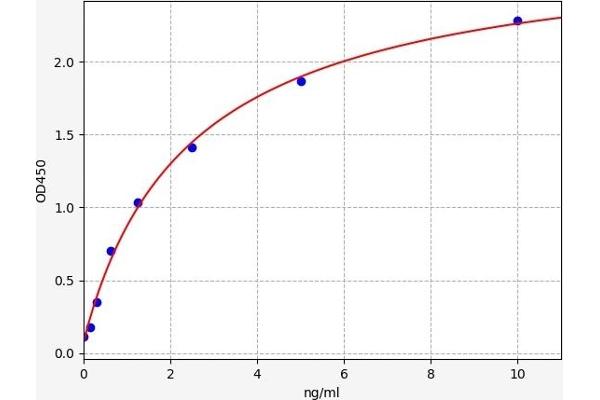 Aquaporin 4 ELISA Kit