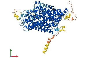 Protein Structure (PS) image for Taurine Transporter (TAUT) (AA 1-621) protein (His tag) (ABIN7562300)