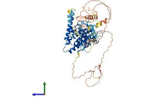 AlphaFold protein structure predicition of Human Recombinant NR2C1 Protein, UniprotID P13056