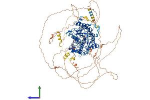 Protein Structure (PS) image for Histone Deacetylase 7 (HDAC7) (AA 1-952) protein (His tag) (ABIN7554072)