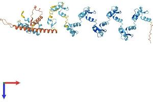 ZNF90 Protein (AA 1-601) (His tag)