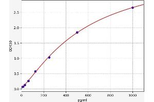 ARNTL ELISA Kit