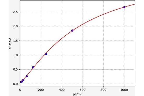 ARNTL ELISA Kit