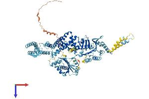 MSH5 Protein (AA 1-834) (His tag)