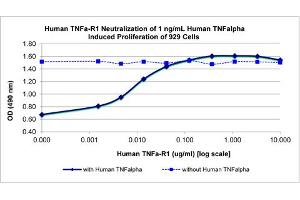 SDS-PAGE (SDS) image for Tumor Necrosis Factor Receptor Superfamily, Member 1A (TNFRSF1A) protein (ABIN6700713)