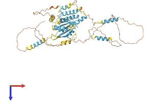 DYNC1LI1 Protein (AA 1-523) (His tag)