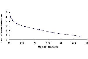 Citrulline (CIT) ELISA Kit