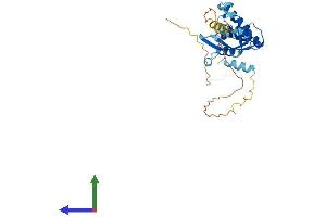 Protein Structure (PS) image for Fragile Site, Folic Acid Type, Rare, Fra(10)(q23.3) Or Fra(10)(q24.2) Candidate 1 (FRA10AC1) (AA 1-315) protein (His tag) (ABIN7558799)