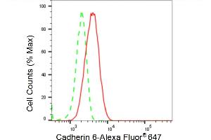 Flow cytometric analysis of Cadherin 6 expression in HT- cells using Cadherin 6 antibody (ABIN7799153), 1:2,000). (Rekombinanter CDH6 Antikörper)