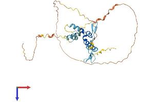 SPRY2 Protein (AA 1-315) (His tag)