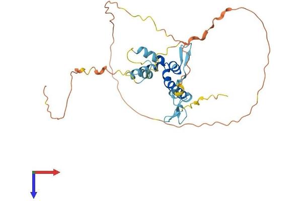 SPRY2 Protein (AA 1-315) (His tag)