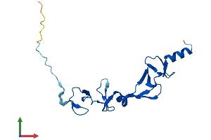 Protein Structure (PS) image for LIM Domain Only 2 (Rhombotin-Like 1) (LMO2) (AA 1-158) protein (His tag) (ABIN7563010)