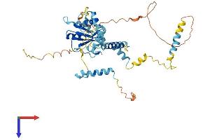RBM41 Protein (AA 1-413) (His tag)