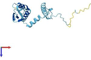 C3orf34 Protein (AA 1-163) (His tag)
