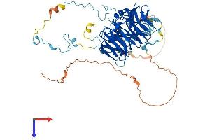 RBBP5 Protein (AA 1-538) (His tag)
