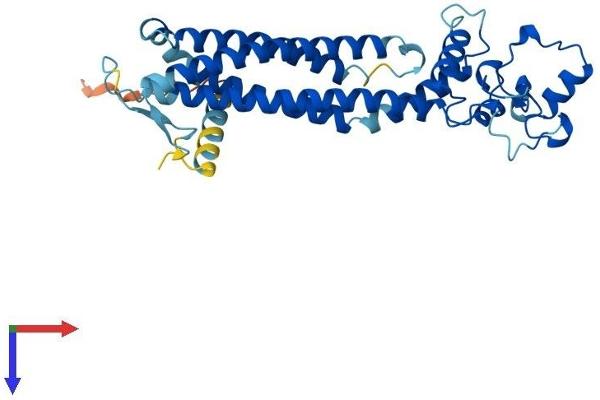 PRPH2 Protein (AA 1-346) (His tag)
