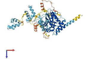 TIGD6 Protein (AA 1-521) (His tag)