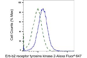 Validation of Erb-b2 receptor tyrosine kinase 2 knockdown using flow cytometry. (ErbB2/Her2 Antikörper)