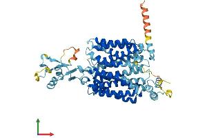 AlphaFold protein structure predicition of Mouse Recombinant Slc22a3 Protein, UniprotID Q9WTW5