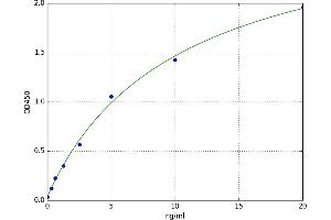 Centromere Protein A (CENPA) ELISA Kit