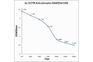 Antigen: 0. (GAB2 Antikörper  (pSer159))