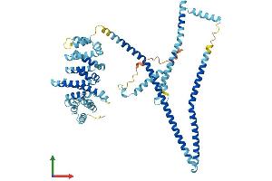 Protein Structure (PS) image for IQ Motif Containing B1 (IQCB1) (AA 1-598) protein (His tag) (ABIN7558791)