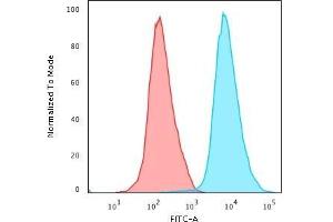 Flow Cytometric Analysis of PFA-fixed Jurkat cells using CD45 Monoclonal Antibody (PTPRC/1461) followed by Goat anti- Mouse- IgG-CF488 (Blue); Isotype Control (Red). (CD45 Antikörper)