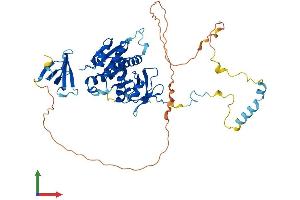 Protein Structure (PS) image for Enhancer of mRNA Decapping 3 (EDC3) (AA 1-508) protein (His tag) (ABIN7559501)