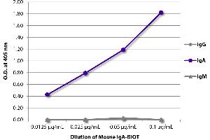 ELISA plate was coated with Goat Anti-Mouse IgG, Human ads-UNLB and quantified. (Maus IgA isotype control (Biotin))