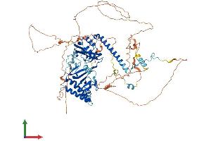 Protein Structure (PS) image for Ring Finger Protein 10 (RNF10) (AA 1-804) protein (His tag) (ABIN7557205)