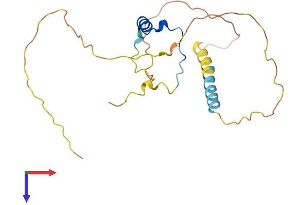CITED1 Protein (AA 1-203) (His tag)