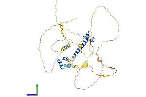 Protein Structure (PS) image for Doublesex and Mab-3 Related Transcription Factor 3 (DMRT3) (AA 1-472) protein (His tag) (ABIN7547105)