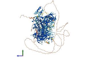 Protein Structure (PS) image for DNA (Cytosine-5)-Methyltransferase 1 (DNMT1) (AA 1-1616) protein (His tag) (ABIN7553689)