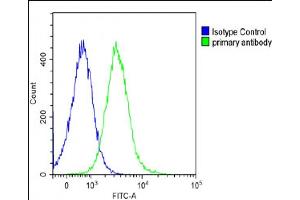 Overlay histogram showing Ramos cells stained with A(green line). (PTGER3 Antikörper  (N-Term))