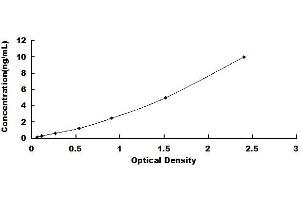Microtubule-Associated Protein 1 Light Chain 3 beta (MAP1LC3B) ELISA Kit