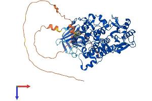 MTMR1 Protein (AA 1-665) (His tag)