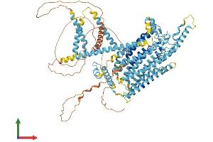 Protein Structure (PS) image for Transmembrane Channel-Like 2 (Tmc2) (AA 1-906) protein (His tag) (ABIN7555770)