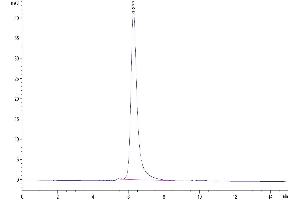 The purity of Canine ROR1 is greater than 95 % as determined by SEC-HPLC. (ROR1 Protein (AA 22-477) (His tag))