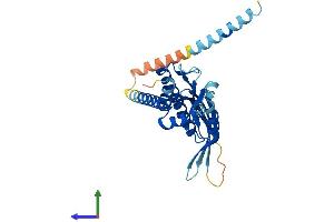AlphaFold protein structure predicition of Mouse Recombinant Cenpp Protein, UniprotID Q9CZ92