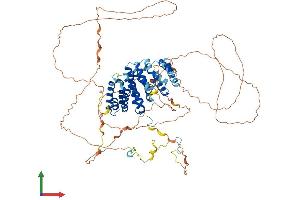 AlphaFold protein structure predicition of Human Recombinant RRP1B Protein, UniprotID Q14684 (RRP1B Protein (AA 1-758) (His tag))