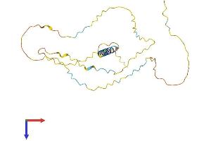 LAT Protein (AA 1-242) (His tag)